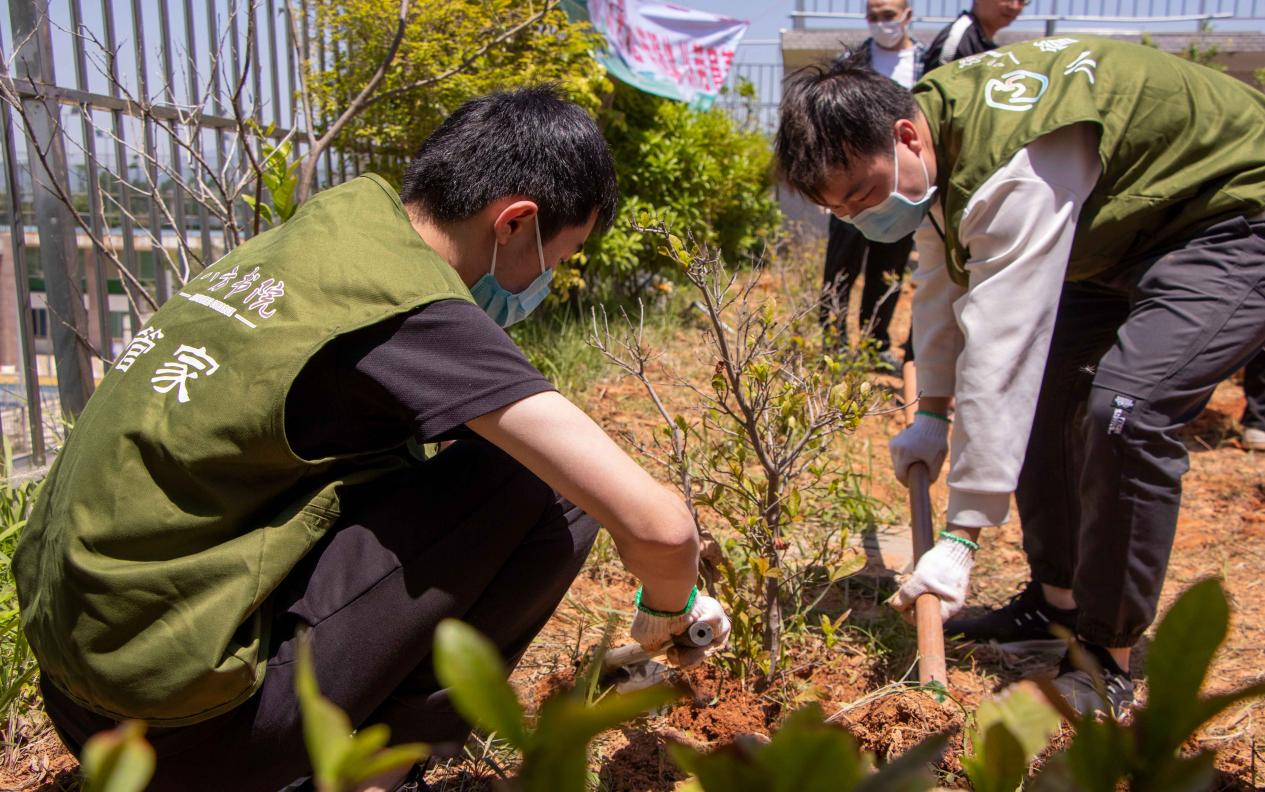 图片3.png 图片3.png